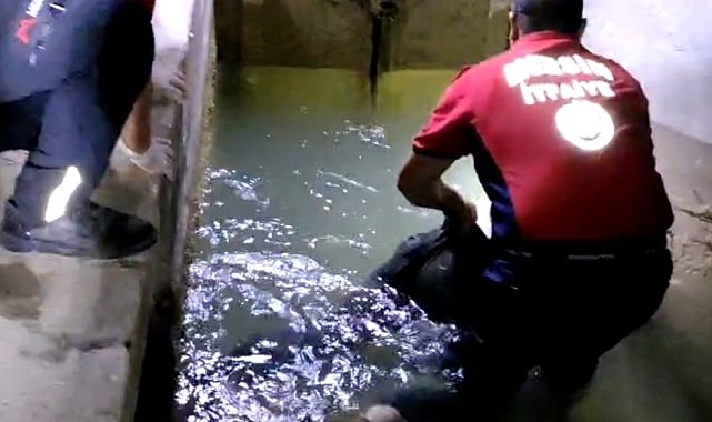 Tarsus'ta sulama kanalında erkek cesedi bulundu