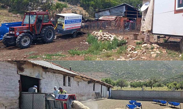 Tavas Belediyesi 21 bin 735 küçükbaş hayvana parazit bakımı yaptı