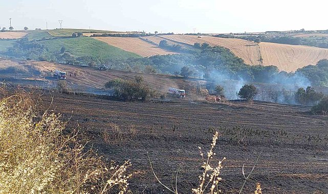 Tekirdağ'da 100 dönümlük alan yandı