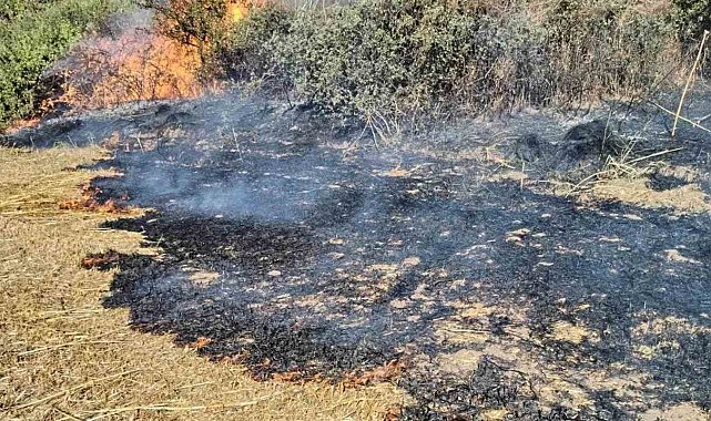 Tekirdağ'da anız yangını