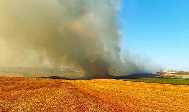 Tekirdağ'da bin 500 dönümlük alan yandı: 1 yaralı