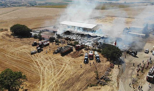 Tekirdağ'da çiftlik yangını: 15 bin balya saman yandı