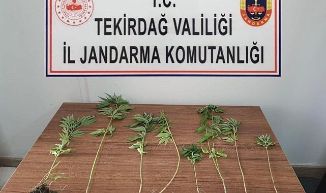 Tekirdağ'da uyuşturucu operasyonları: 8 kişi yakalandı