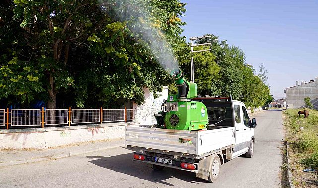 Tepebaşı ilçe merkezinde ve kırsalda haşere ile mücadele