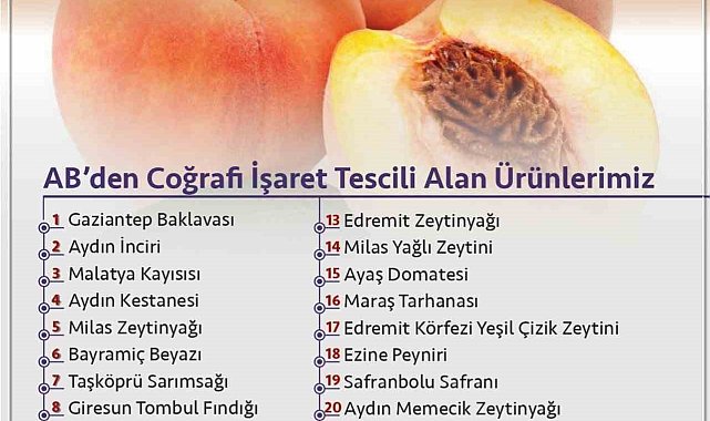 TOBB Başkanı Hisarcıklıoğlu: "Avrupa Birliği'nden coğrafi işaret tescili alan 24. ürünümüz Bursa şeftalisi oldu"