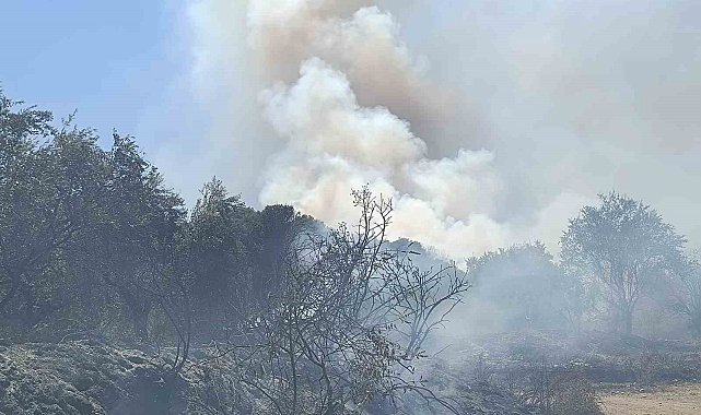 Turgutlu&#039;da orman yangını evlere sıçradı