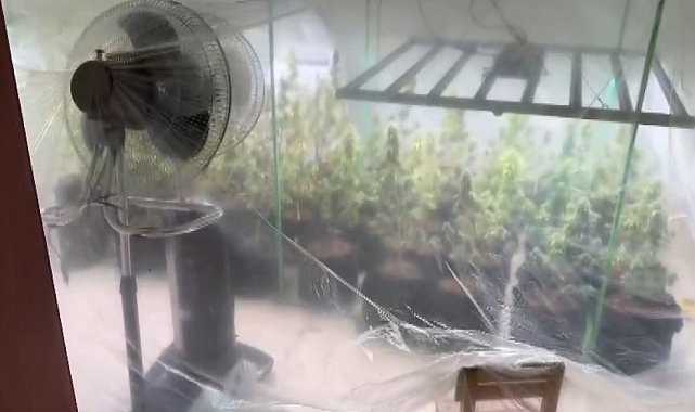 Turistlere esrar satarken yakalandı, şüphelinin evine giden jandarma gözlerine inanamadı