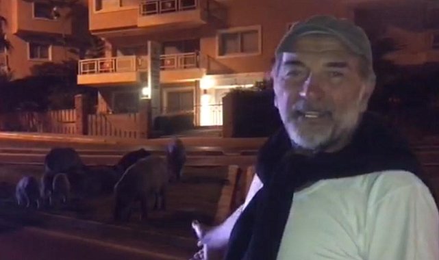 Ünlü oyuncudan Kuşadası'nda domuz paylaşımı