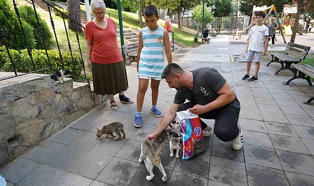 Üsküdar Belediyesinden sokak hayvanlarına her ay 2 ton mama yardımı
