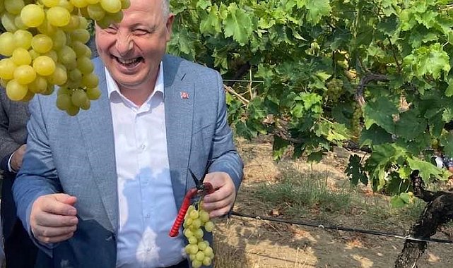Vali Coşkun bağdan üzüm hasadı yaptı