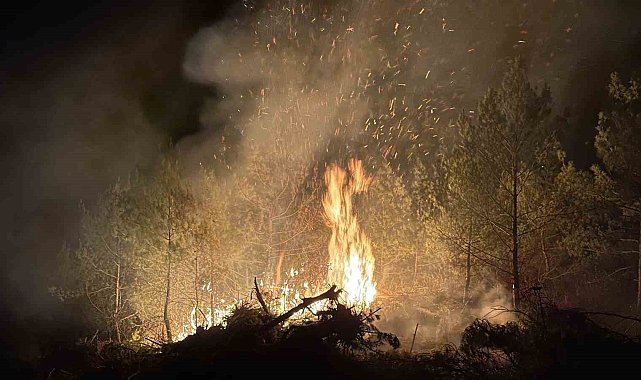 Vali Ergün yangın bölgesinde incelemelerde bulundu