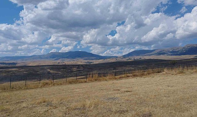 Varto'da anız yangını