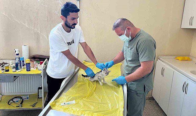 Veteriner ekibinden can dostlar için yoğun mesai
