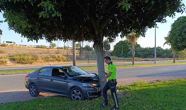 Virajı alamayan otomobil ağaca çarptı