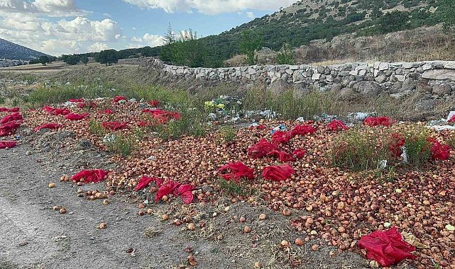Yaklaşık 2 ton kuru soğanı boş araziye döküp gittiler