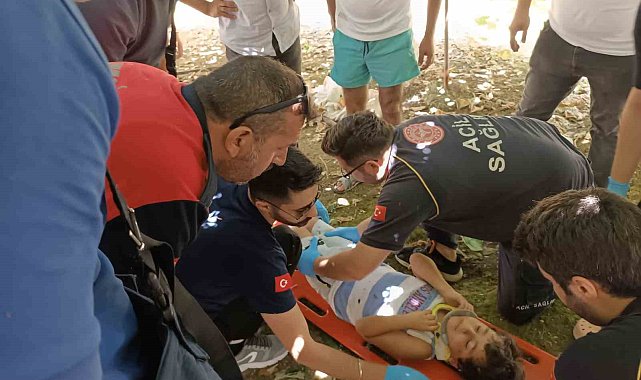 Yalova'da 5'inci kattan düşen çocuğu kivi asması kurtardı