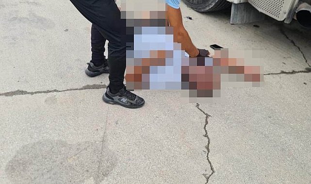 Yalova'da tır şoförü aracının yanında ölü bulundu