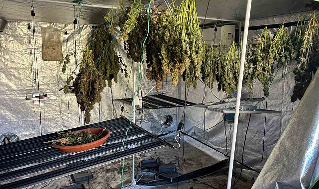 Yangın, uyuşturucu serasını ortaya çıkardı