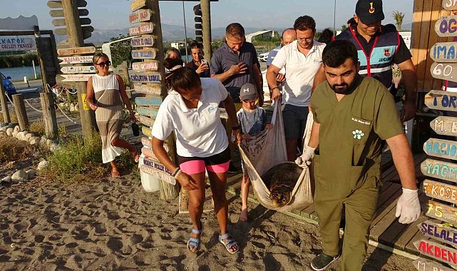 Yaralı Caretta Caretta cerrahi müdahalenin ardından denize bırakıldı