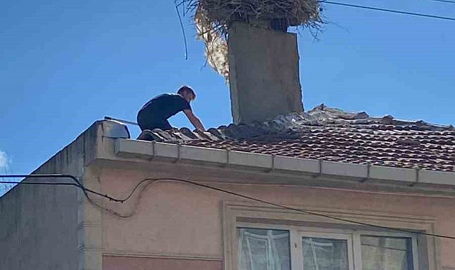 Yaralı leyleği itfaiye kurtardı