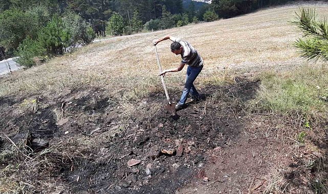 Yol kenarına atılan sigara yangına neden oldu