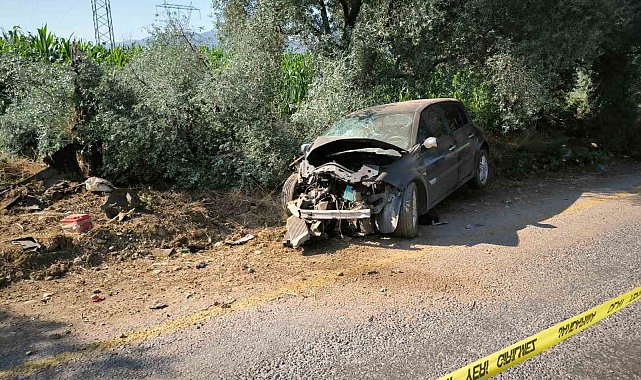 Yol kenarındaki ağaca çarpan otomobilin sürücüsü hayatını kaybetti