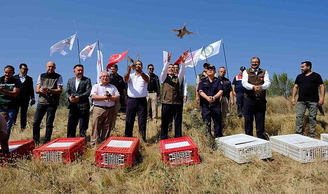 Yozgat'ta 800 kınalı keklik doğaya salındı