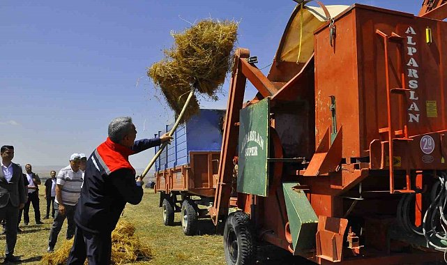 Yozgat'ta yeşil mercimek ekim alanı yüzde 30 artarak 224 bin dekara yükseldi