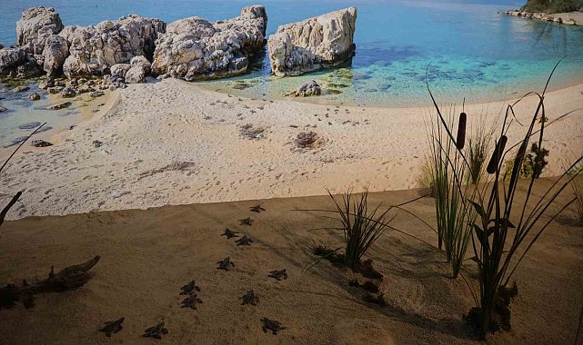 'Çukurova Biyoçeşitlilik Tanıtım Merkezi' ziyaretçi akınına uğruyor
