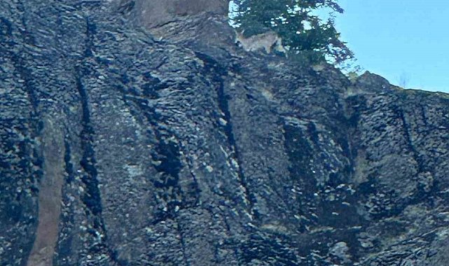 'Tırmanış ustaları' kendilerine hayran bırakmaya devam ediyor