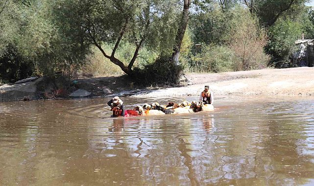 8 asırlık Sudan Koyun Geçirme Yarışları renkli görüntülere sahne oldu