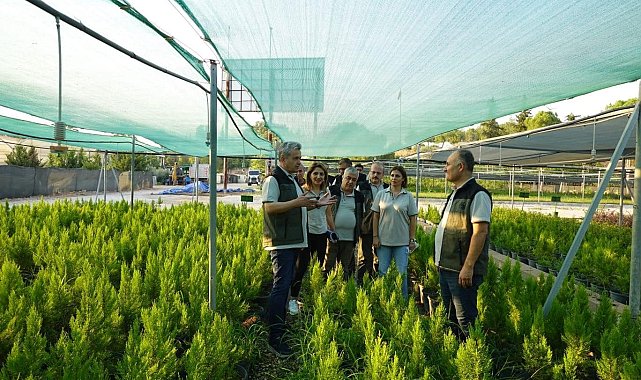 Adana'da orman varlığı yüzde 2.3 arttı