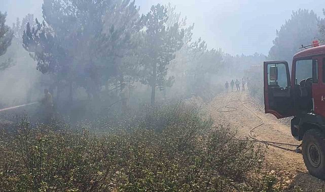 Afyonkarahisar Kırka'da orman yangını