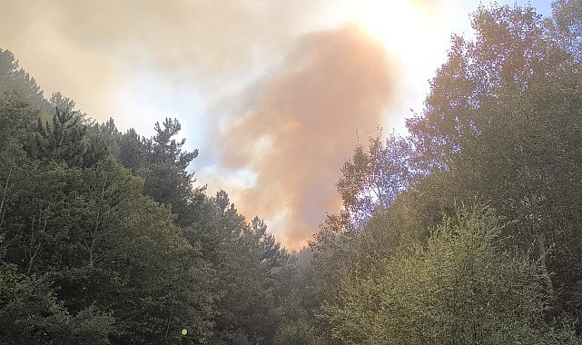 Afyonkarahisar'da orman yangını sürüyor