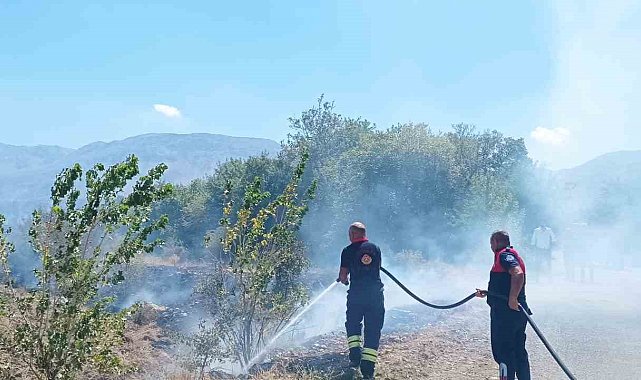 Ağaçlık alanda çıkan yangın itfaiye ekiplerinin müdahalesiyle söndürüldü