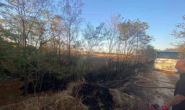 Ağaçlık alanda çıkan yangın söndürüldü