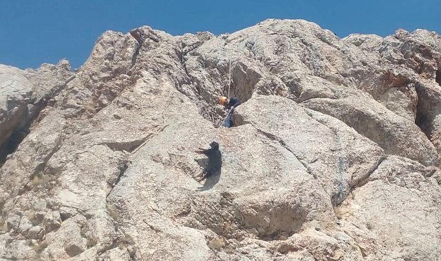 Ağrı'da kayalıklarda mahsur kalan keçiler kurtarıldı