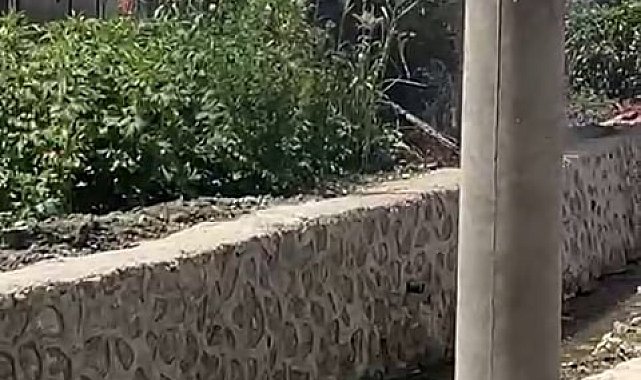 Ahır alev alev yandı, hayvanlar son onda telef olmaktan kurtarıldı