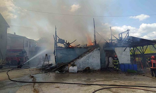 Ahır alev alev yandı, itfaiye yangını evlere sıçramadan söndürdü