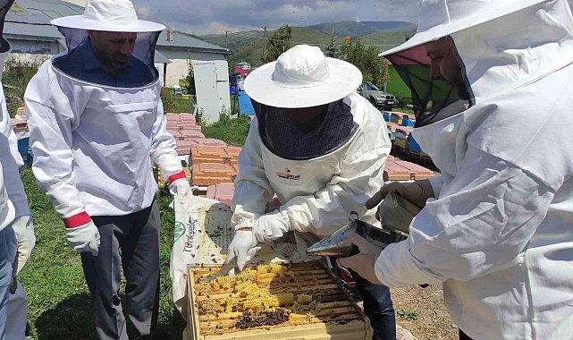 AK Parti Milletvekili Koç, özel kıyafetleri giyip bal hasadına katıldı