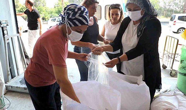 Akdeniz Belediyesinin ürettiği ekmeklik buğdaydan elde edilen un sofralara ulaştı
