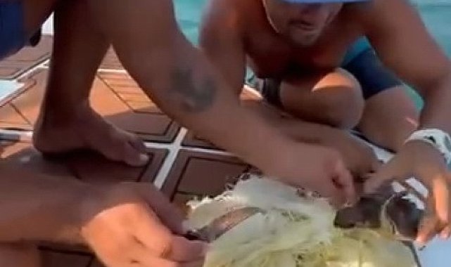Alanya&#039;da çuvala dolanan caretta caretta yavrusu kurtarıldı