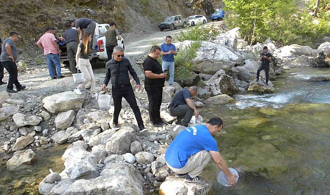 Alara Çayı'na 5 bin adet kırmızı benekli alabalık salındı
