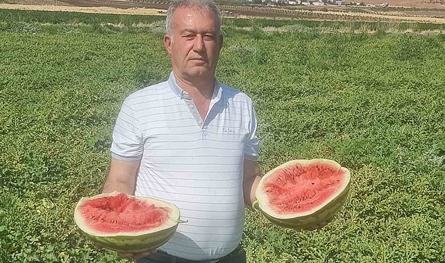 Altun: "Tarlada bedava, rafta ateş pahası"