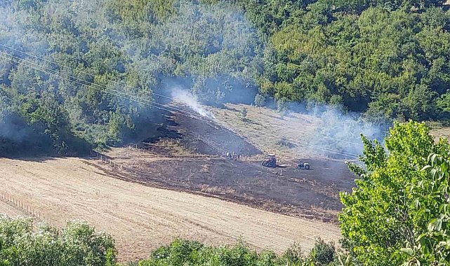 Anız yangını ormana sıçramadan söndürüldü