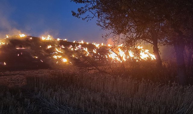 Anız yangınında 6 bin balya kül oldu, bahçeler zarar gördü