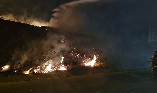 Antakya&#039;da çıkan tarla yangını itfaiye tarafından söndürüldü