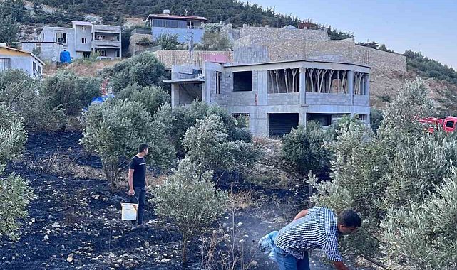 Antakya&#039;da zeytinlik alanda çıkan yangın büyümeden söndürüldü