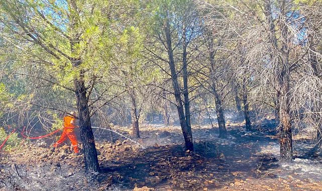 Antalya'da 2 dönüm ormanlık alan yandı
