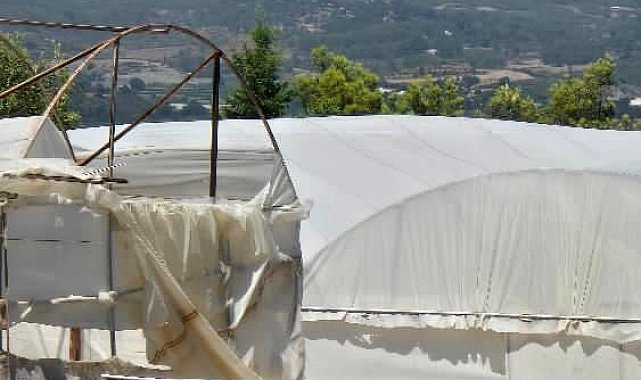 Antalya'da orman yangını